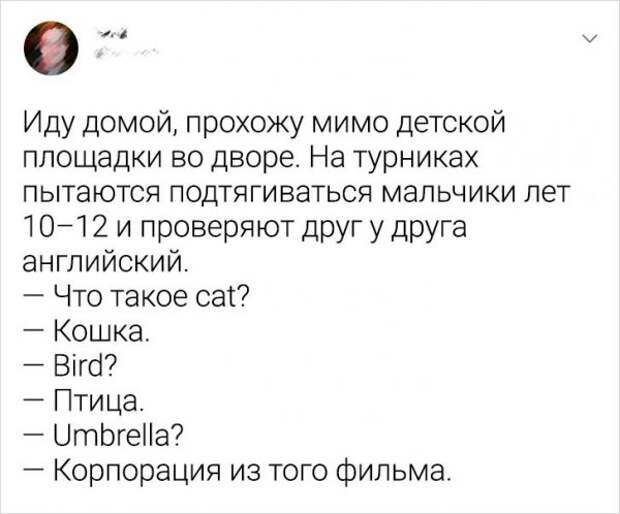 твит про площадку