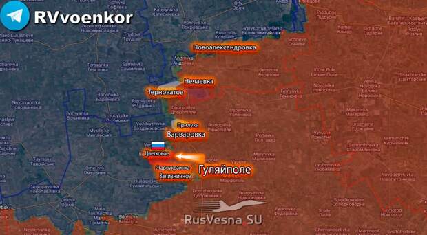 ‼️🇷🇺🇺🇦 Армия России освободила Цветковое в Запорожской области