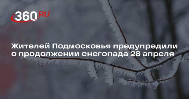 Гидрометцентр: выпавший 28 апреля в Подмосковье снег будет сразу таять