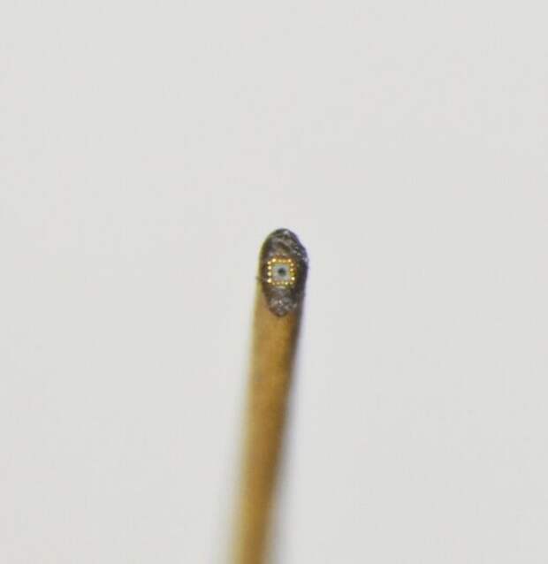 В Петербург привезли картину, написанную на срезе человеческого волоса