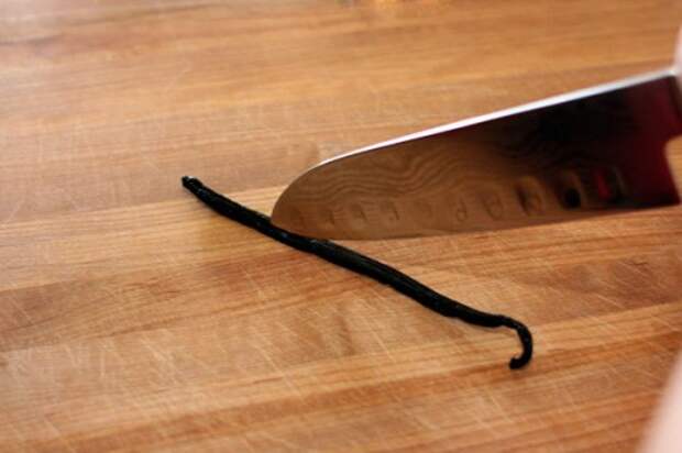 vanilla_bean_knife_cut
