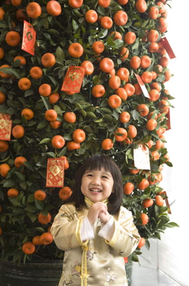 Елки, палки, мандарины: как украшают новогодние деревья в разных странах мира