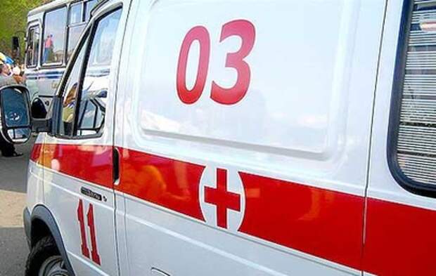 В Подмосковье мужчина попал в реанимацию после укуса кобры В Подмосковье мужчина попал в реанимацию после укуса кобры