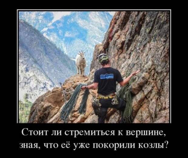 Сборка лучших демотиваторов недели Сборка лучших демотиваторов недели