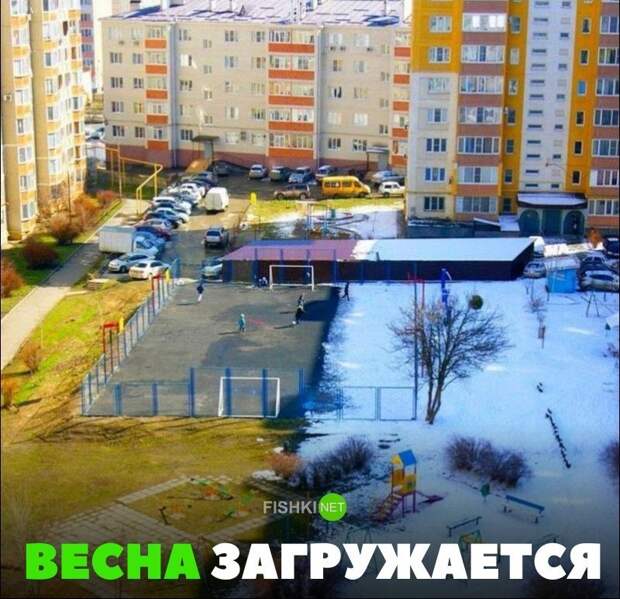 Картинки с надписями для настроения картинки с подписями, подборка, позитив, юмор