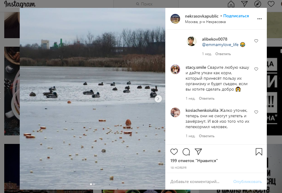 Фото дня: вредное для уток Черное озеро