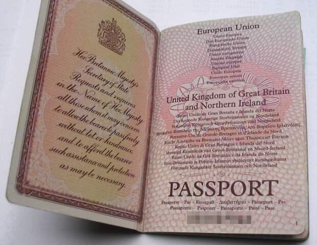 grey Какие паспорта бывают
