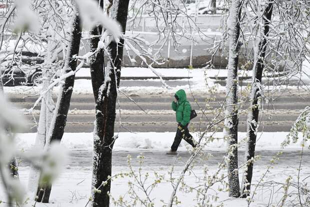Москва приблизилась к метеорекорду почти вековой давности