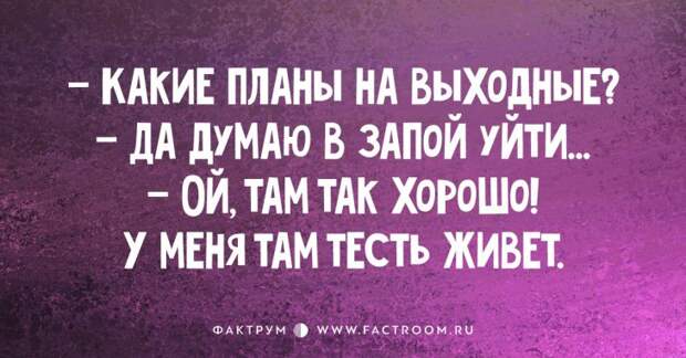 15 коротеньких анекдотов, над которыми вы будете долго смеяться!