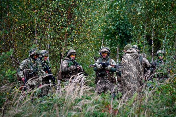 Связистов ВСУ переводят в пехоту в Харьковской области