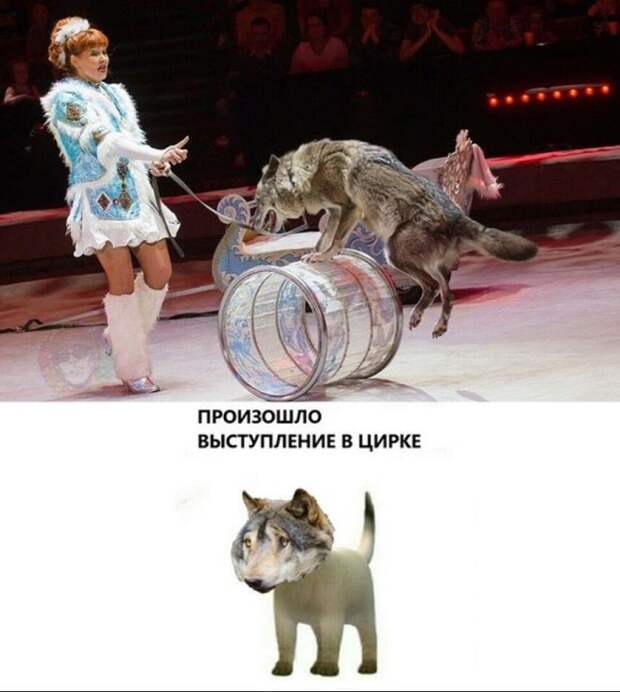 www.vsyako.net