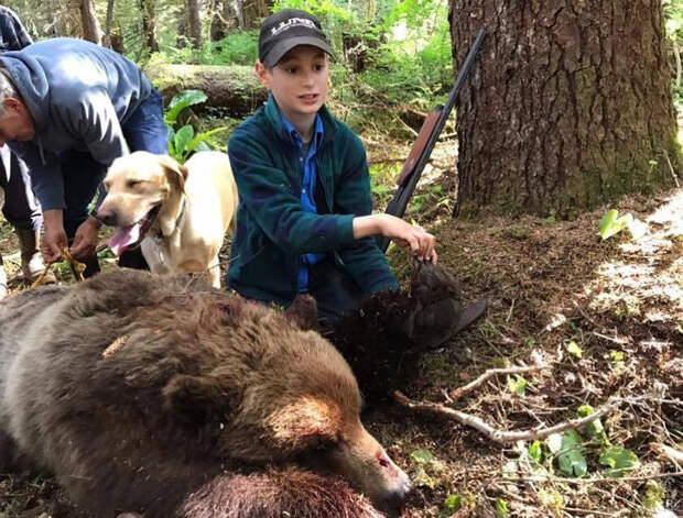 На Аляске 11-летний подросток застрелил напавшего медведя и спас родню аляска, животные, медведь, оружие, охота, подросток, спасение