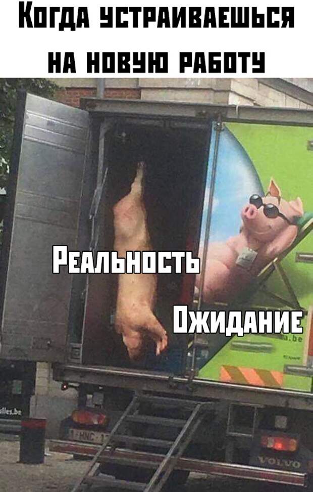 www.vsyako.net