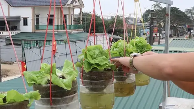 Как сделать подвесные горшки с самополивом