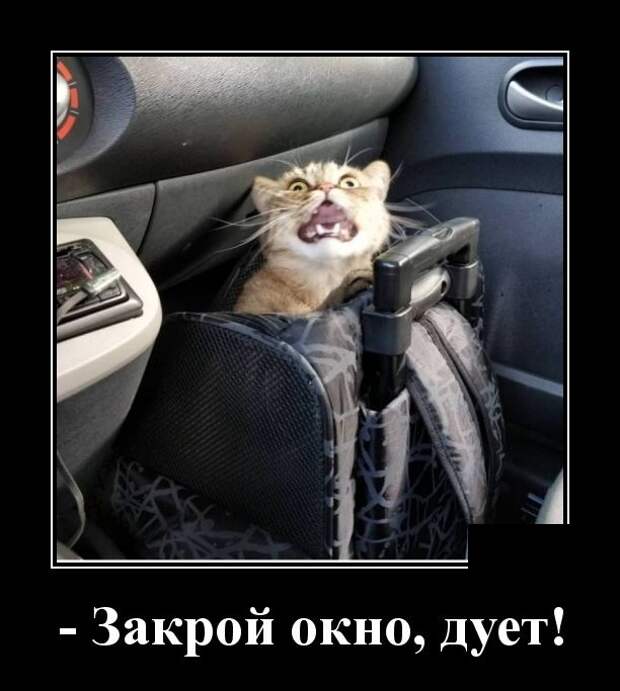 Демотиваторы (30 фото)