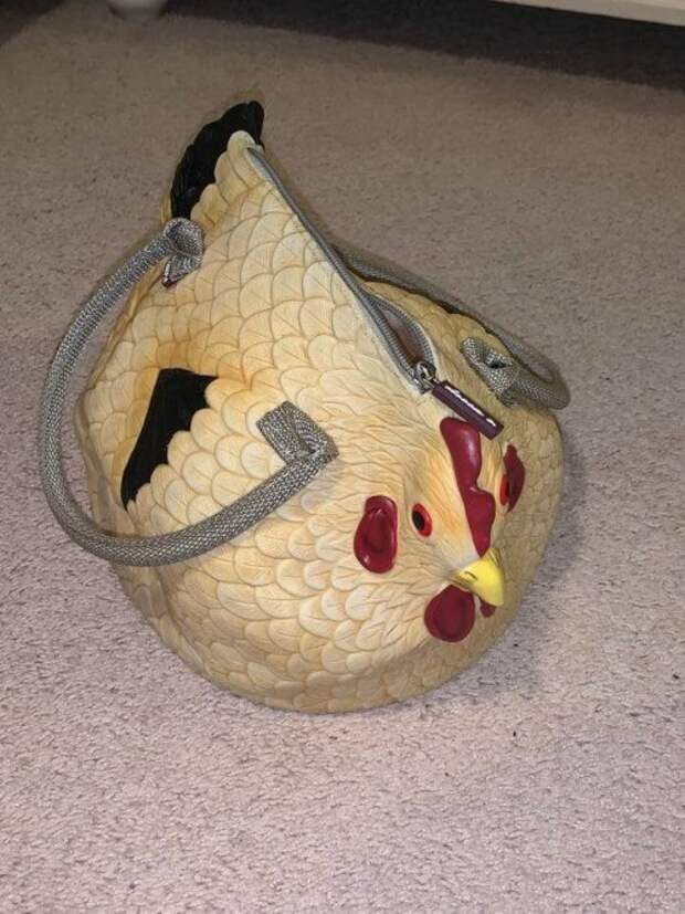 Фото-приколы дня