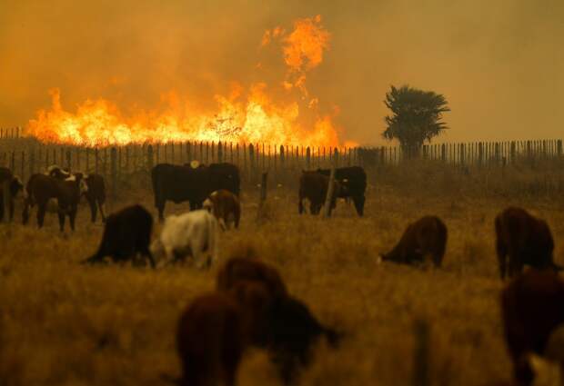 Повседневная жизнь в Латинской Америке