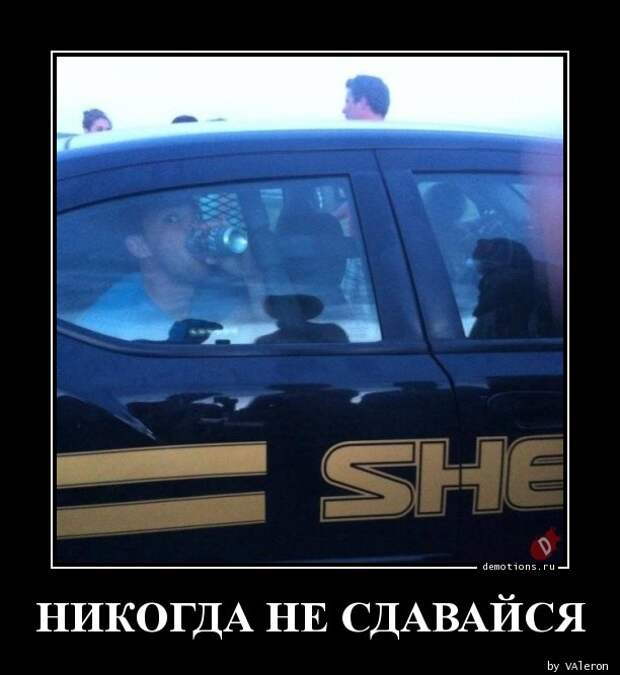 Демотиваторы демотиваторы, прикол, юмор