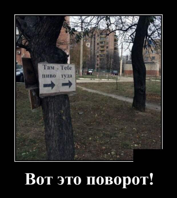 Демотиваторы (30 фото)