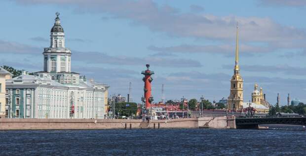 Заспиртованная история: Самые жуткие и удивительные находки из коллекции Петра I