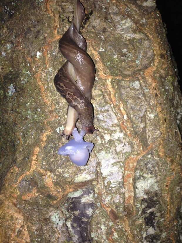 Удачный момент