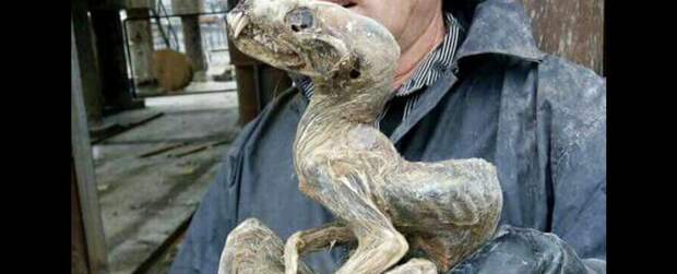 siberian-mummy_1024