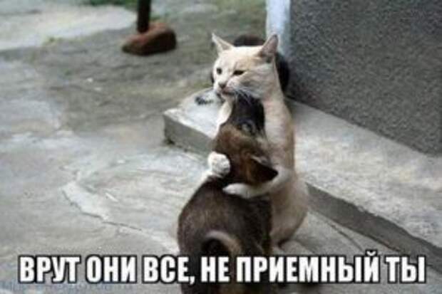 Убойные фотоприколы с надписями