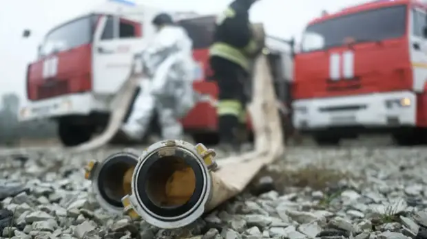 В Воронежской области начали проверку из-за природных пожаров