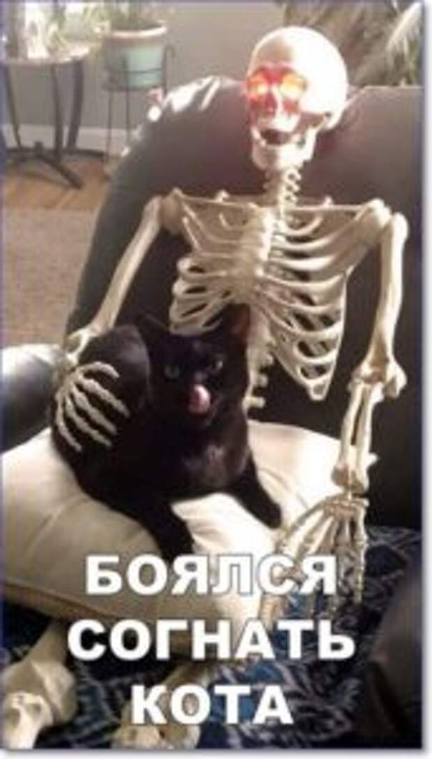 Фотоприколы с надписями