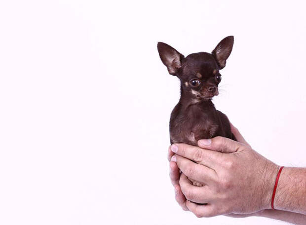 Книга рекордов Гиннесса 2014 Книга рекордов Гиннесса 2014