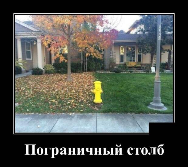 Демотиваторы