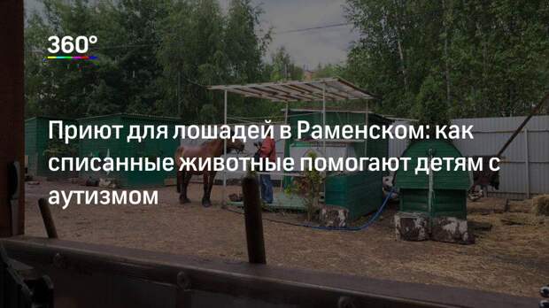 Приют для лошадей в Раменском: как списанные животные помогают детям с аутизмом