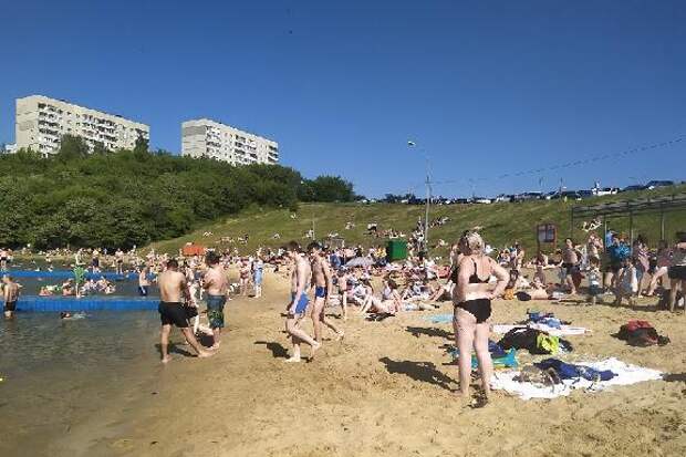 Акваторию тамбовских пляжей обследуют водолазы