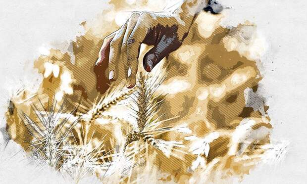 Орловские селекционеры вывели десятки новых сортов сельхозкультур