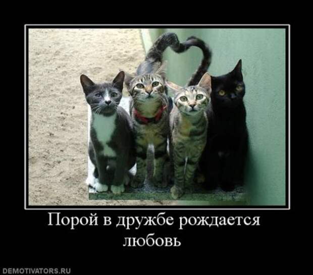 Самые новые и смешные демотиваторы на нашем сайте, прямо сейчас!