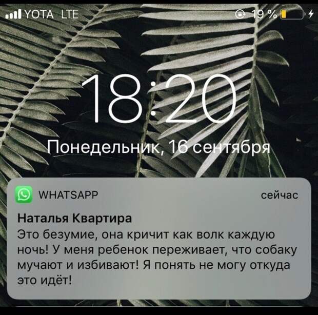 Неприятные сюрпризы, которые могут ожидать вас при аренде квартиры