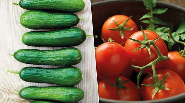 Какие продукты нельзя хранить на одной полке
