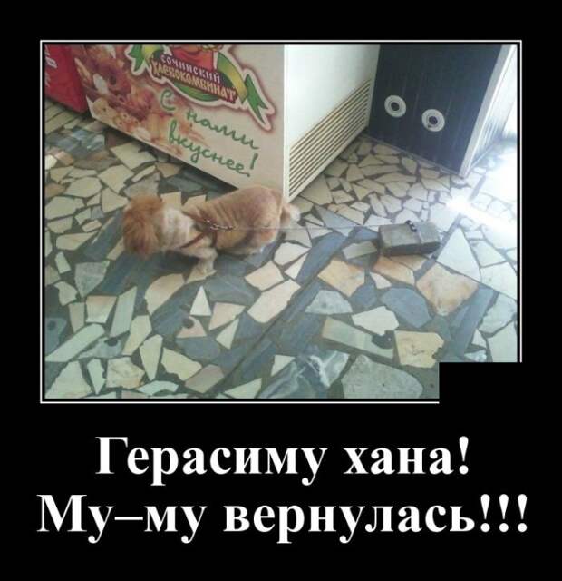 Демотиваторы (30 фото)