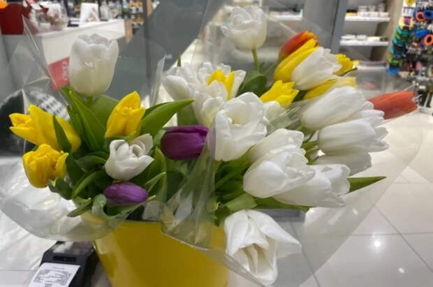 Биолог Максим Петров предупредил, какие букеты опасны для домашних кошек на 8 марта