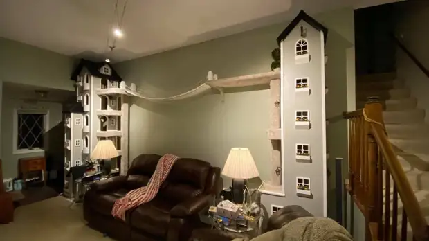 Мужчина решил построить домик своим котам, а получились настоящие особняки