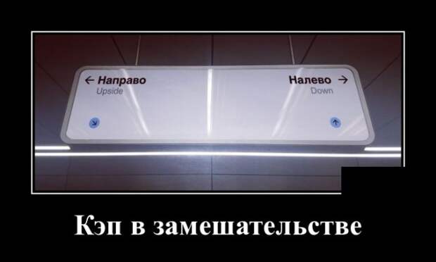 Демотиваторы
