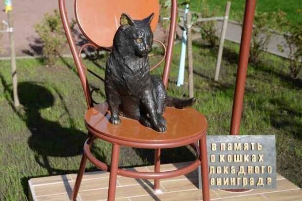 Боевые коты и кошки война, история, котики
