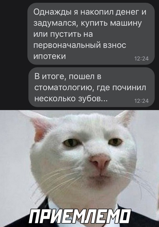 Смешные картинки 24 февраля 2021