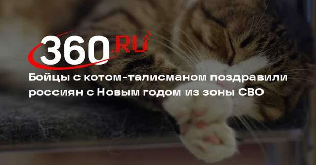 Бойцы с котом-талисманом поздравили россиян с Новым годом из зоны СВО