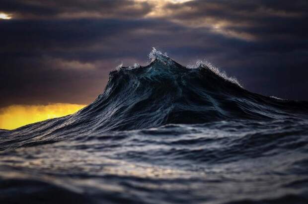 Привет, человечество! Автор: Ray Collins.