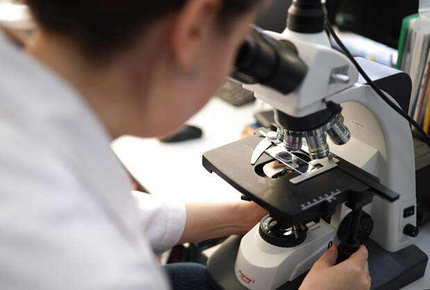 8 февраля: какой праздник отмечают в России и мире