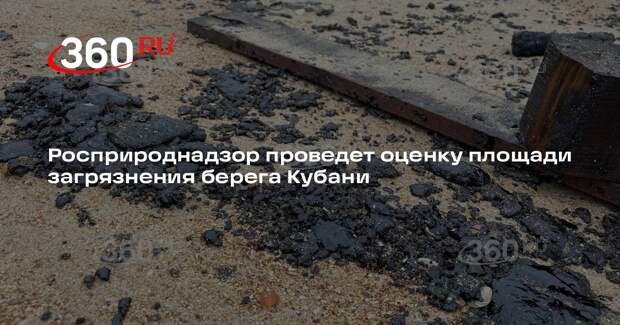 Росприроднадзор оценит площадь загрязнения берега Кубани нефтепродуктами