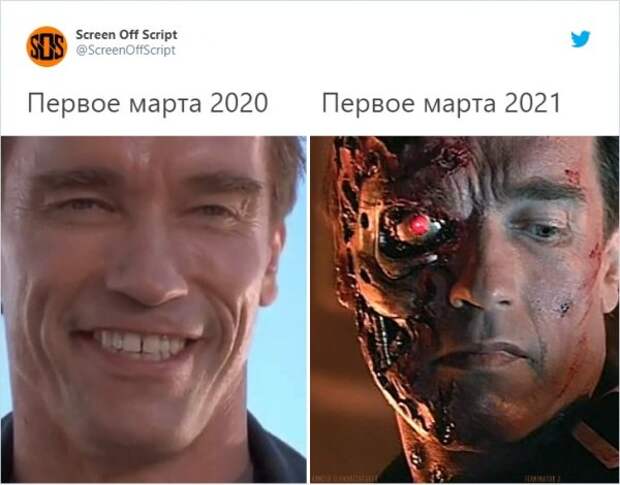 твит про терминатора