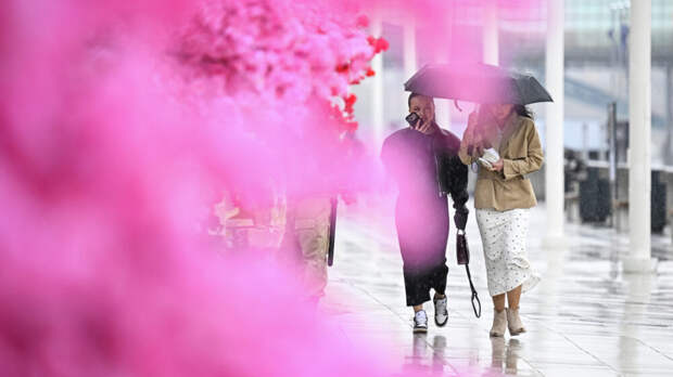 Синоптик Позднякова: в Москве 27 апреля будет самый ненастный день