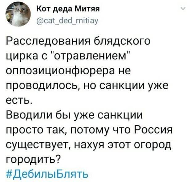 Политические комментарии из инета